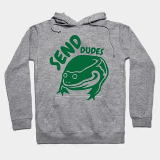 Send Dudes Hoodie